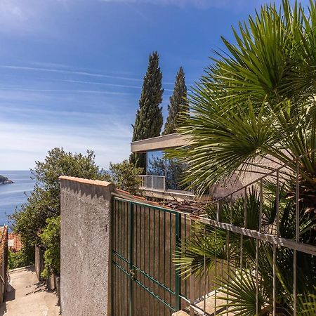 Apartment Big One Dubrovnik Dış mekan fotoğraf